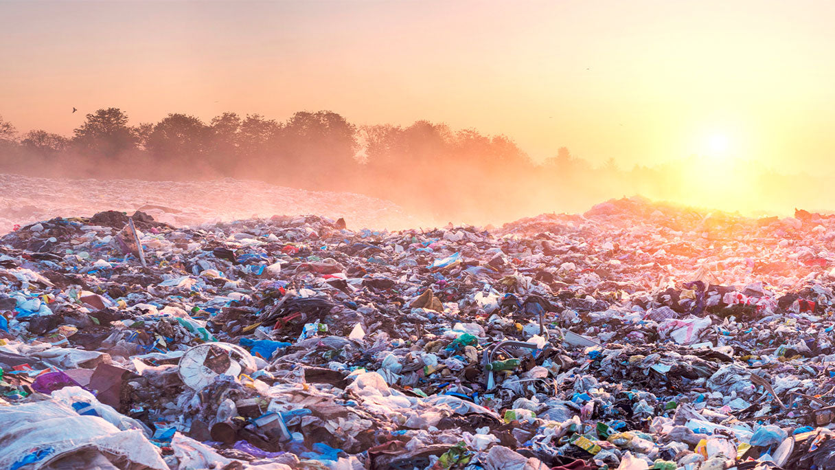 Die Einweg-Plastik-Spur: Tonnen an Abfall und Gefahren für Mensch und Umwelt